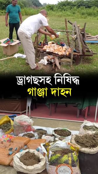বিশ্বনাথ :আৰক্ষীৰ বিশেষ অভিযানত ৮৬ লাখ টকাৰ গাঞ্জা আৰু হেৰইন দাহ