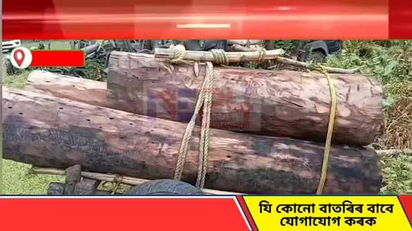 ডিগবৈ: বন বিভাগে গ’লাই আৰু চৰাইপুঙত ব্যাপক অভিযান