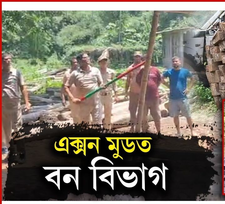 ৰাণী :অবৈধ কাঠ ব্যৱসায়ীৰ বিৰুদ্ধে ৰাণী বন বিভাগৰ অভিযান