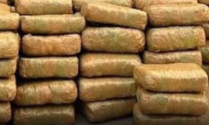 শ্ৰীৰামপুৰত ট্ৰাকৰ পৰা ২,০০০ কিলোগ্ৰামৰো অধিক গাঞ্জা জব্দ