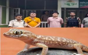 গোলাঘাটত ৩০টা টোকাই গেকো উদ্ধাৰ, এজন গ্ৰেপ্তাৰ