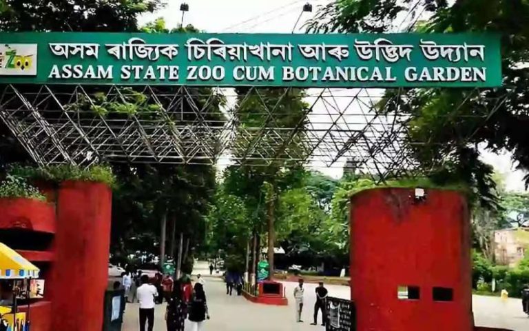 ৩৪০ কোটি টকাৰে নতুন ৰূপ পাব অসম ৰাজ্যিক চিৰিয়াখানা