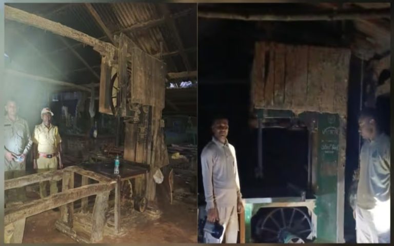 ধুবুৰীত চাৰিটা অবৈধ কাঠফলা মিল উচ্ছেদ, শাল-চেগুন কাঠ জব্দ